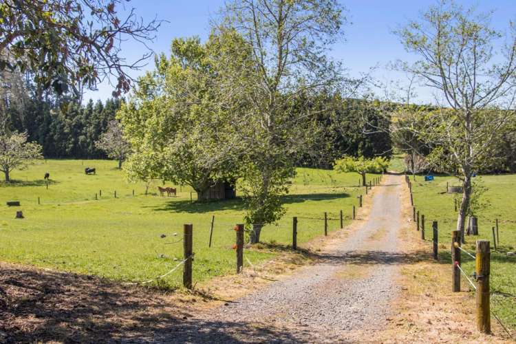 155 Ongare Point Road Katikati_30