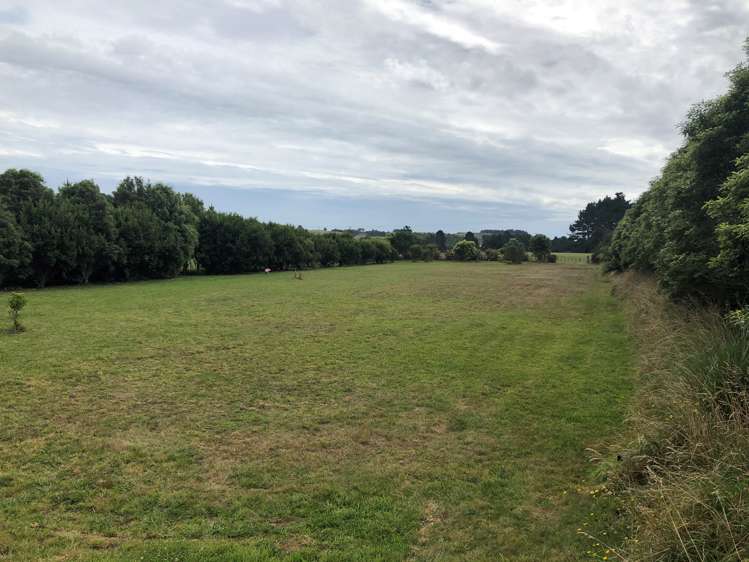 Bertrand Road Huirangi_3