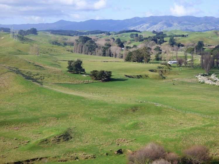 210 Valley Road Bunnythorpe_12