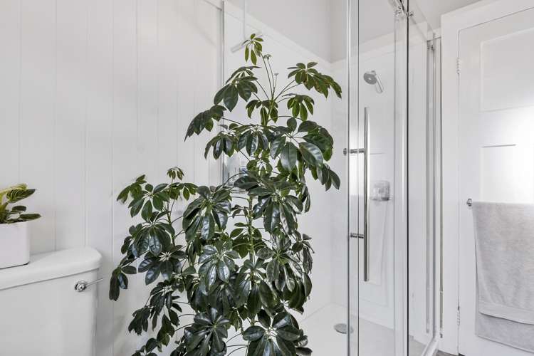 262 Macandrew Road Forbury_14