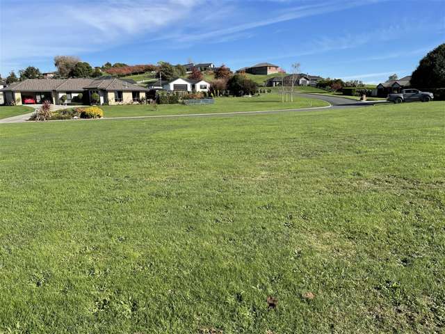 127l Main North Road Otorohanga_4