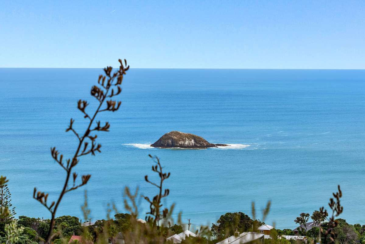 119 Waitea Road_5
