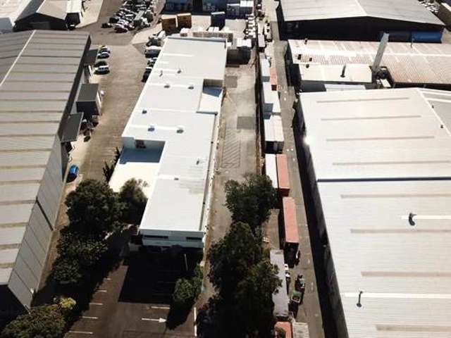 664 Rosebank Road Avondale_3