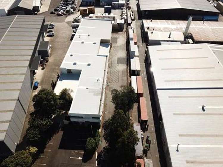 664 Rosebank Road Avondale_3