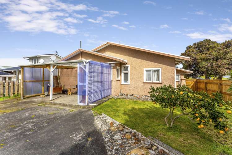 28 Kawatiri Avenue Gonville_19