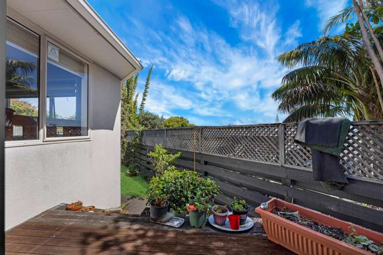 1281C Dominion Road Mount Roskill_13