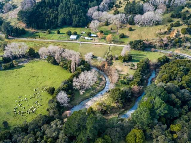 427 Tinui Valley Road Tinui_3