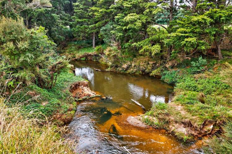 84 Adams Road Whareora_12