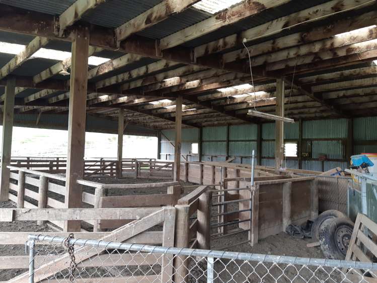 753 Papatowai Highway Owaka_9