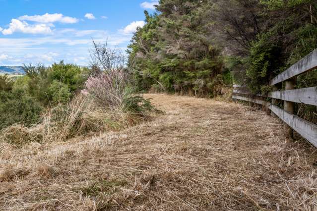 808 Kaipara Hills Road Warkworth_1