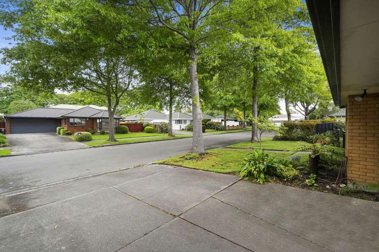 5 Villa Grove Ilam_31