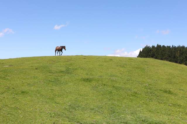 50 Highland View Drive Tokomaru_2