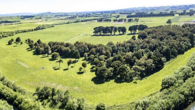 162 Hamua Hukanui Road Eketahuna_1