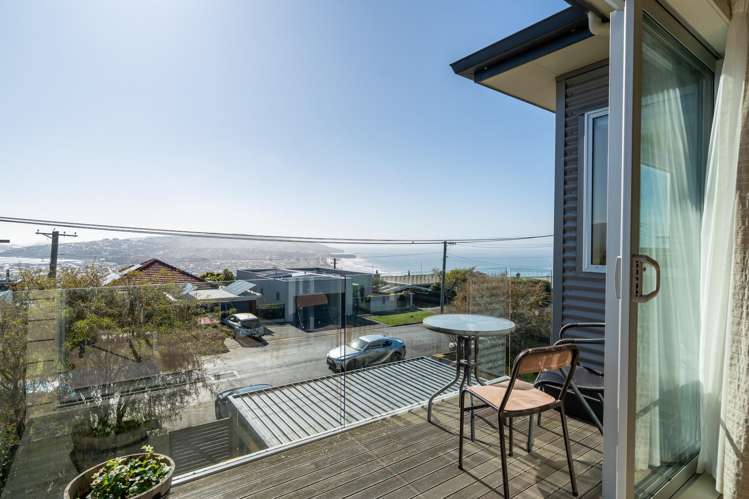 61D Earls Road St Clair_0