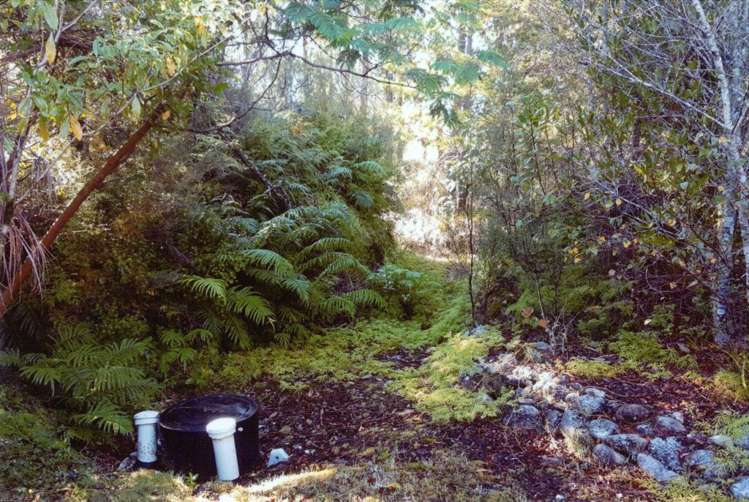 126 Birds Ferry Road Cape Foulwind_13