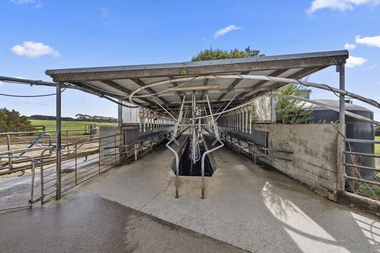 18 Hodgson Road Te Pahu_22