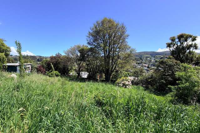 36A Falcon Street Kaikorai_1