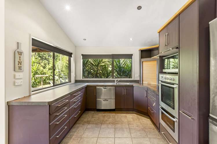 48 Pond Road Raglan_11