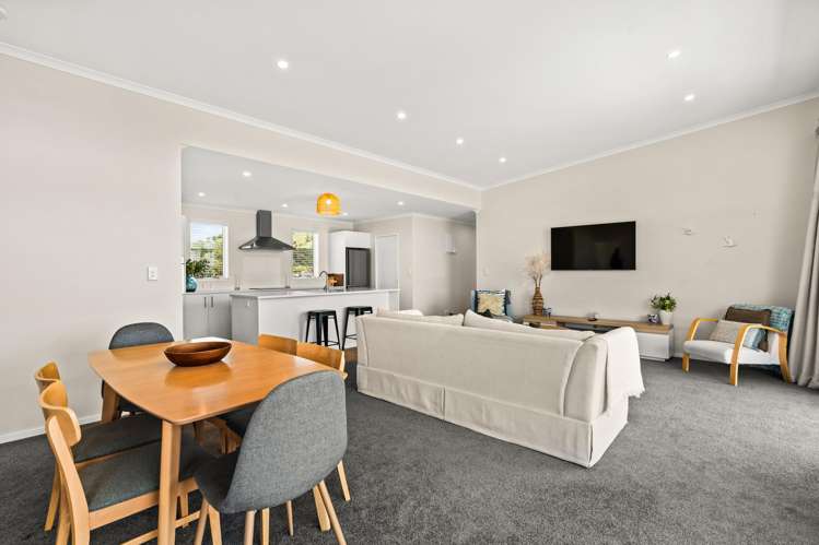 117E Ruakokoputuna Road Ruakokoputuna_8