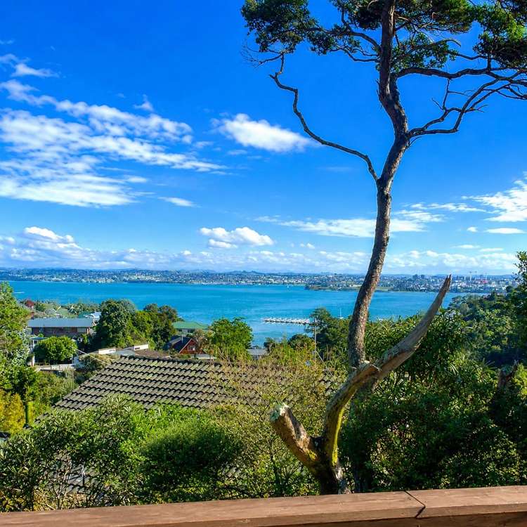 43B Island Bay Road_0