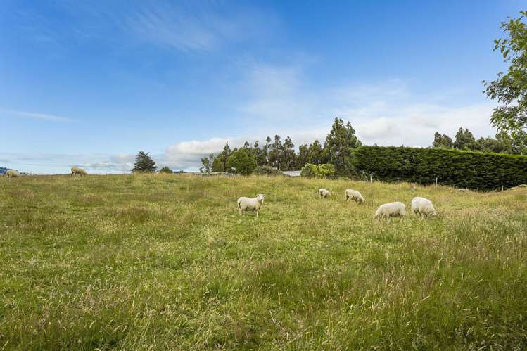 156 Halfway Bush Road Halfway Bush_14