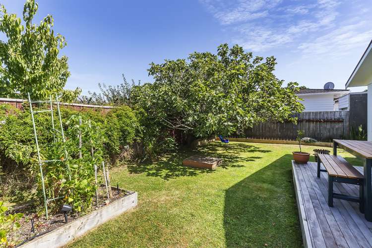 79a Ira Street Miramar_8