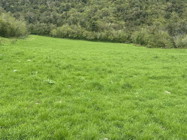 2115 Whataroa Highway Whataroa_1