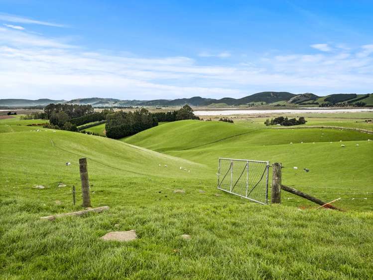 93 Baker Road, 66 Waihola Hill Road and Berwick Road Clarendon_21