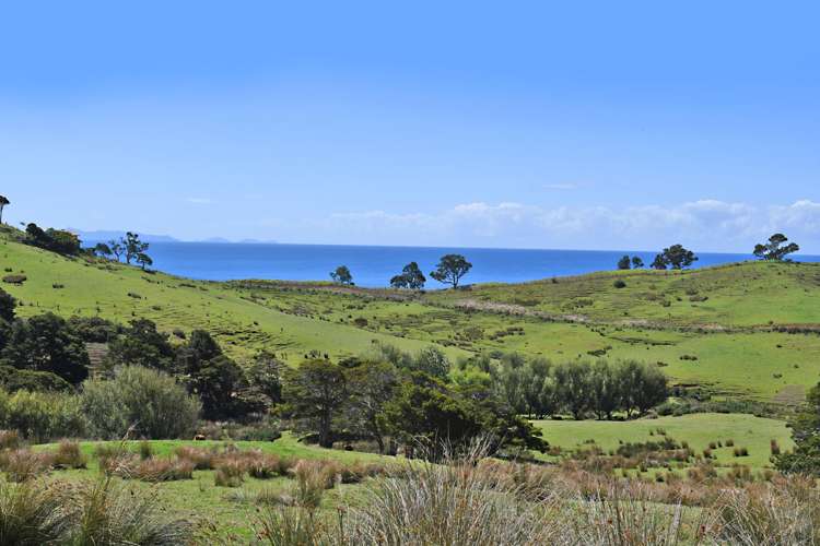 123 Goat Island Road Leigh_9