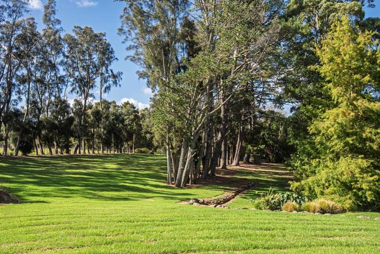 587c Crane Road Kauri_26