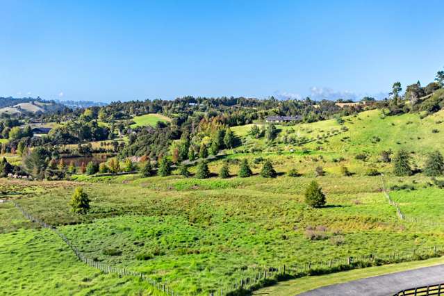 123A Escott Road Dairy Flat_3