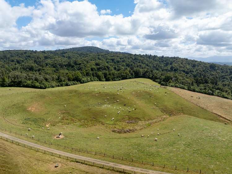 640 Brunskill Road Te Miro_12