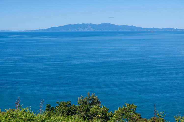 Address withheld Onetangi_20