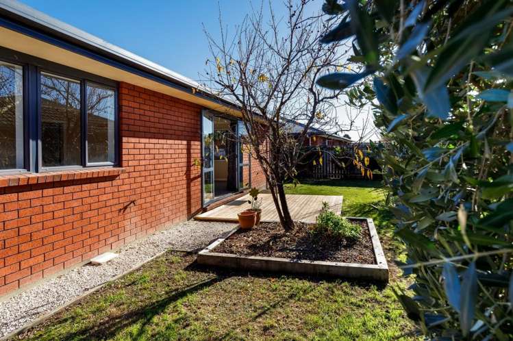 8A Tereice Street Witherlea_13