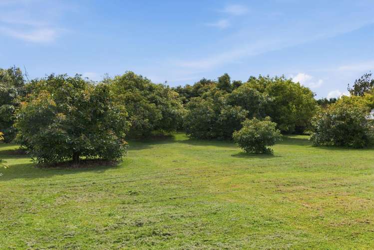 151a Hereford Road Oropi_14