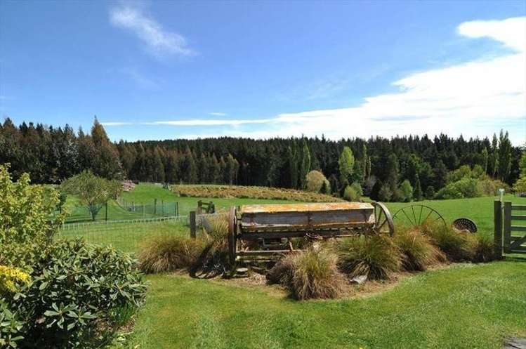 53 Gilligan Street Palmerston_17