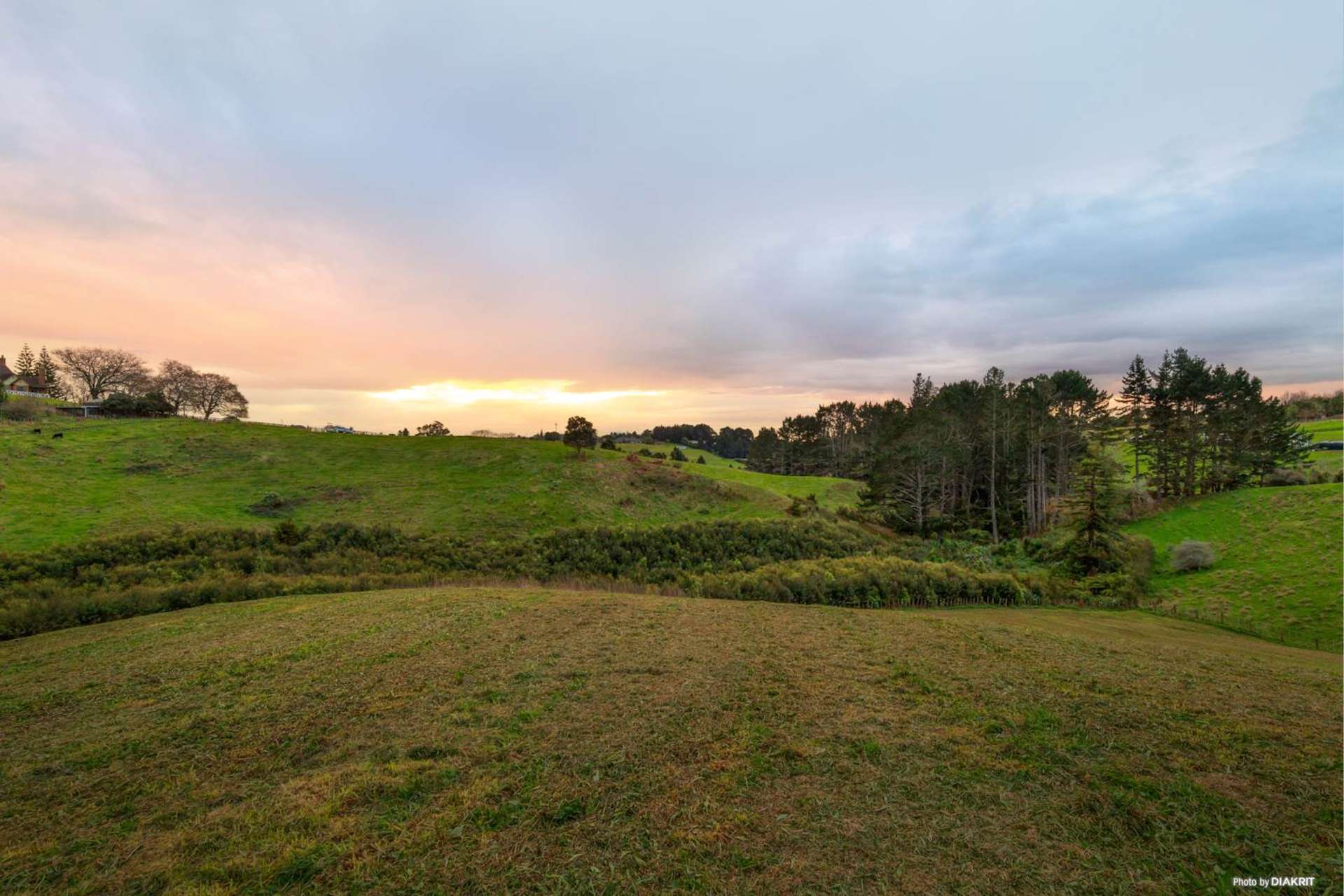 220 Kern Road Ramarama_0