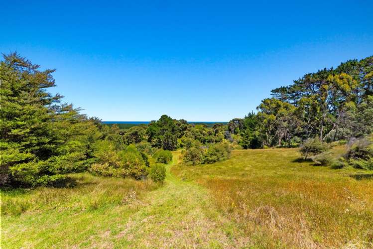 789 Wilson Road, South Head Helensville_49
