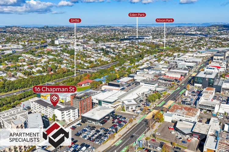 16 Chapman Street Grey Lynn_19