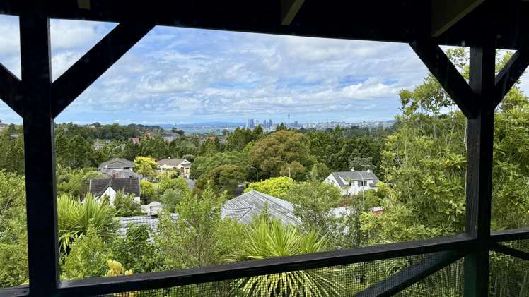 50 Balmain Road Chatswood_4