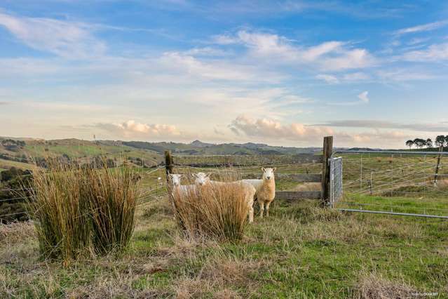 823 Wairamarama Onewhero Road Onewhero_4