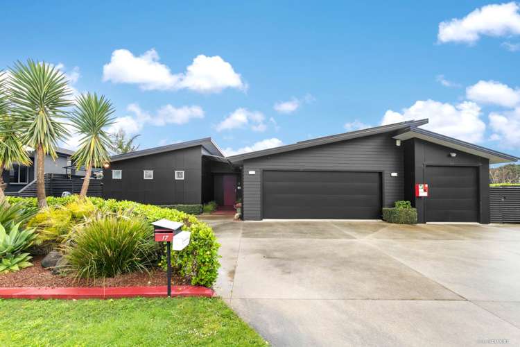 17 William Andrew Road Pukekohe_1