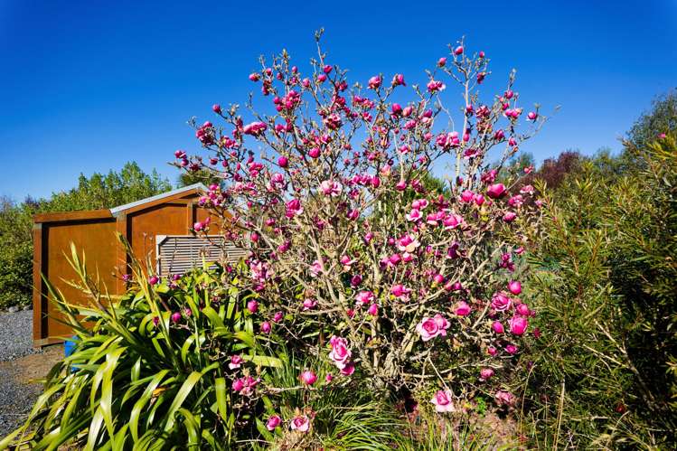 238a Mt Fyffe Road Kaikoura_34