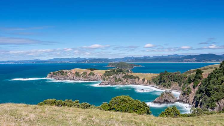 190 Pacific Ocean, Slipper Island (Whakahua) Thames_86