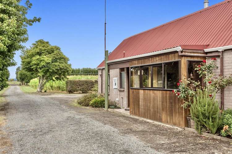164 Otakiri Road Edgecumbe_31
