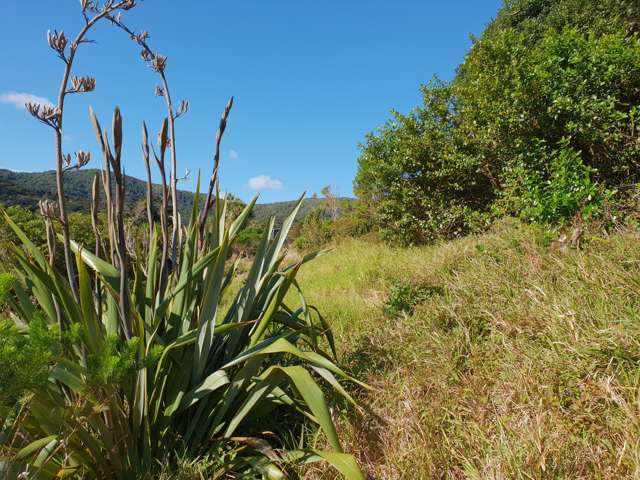 12 Mulberry Grove Road Great Barrier Island (Aotea Island)_2