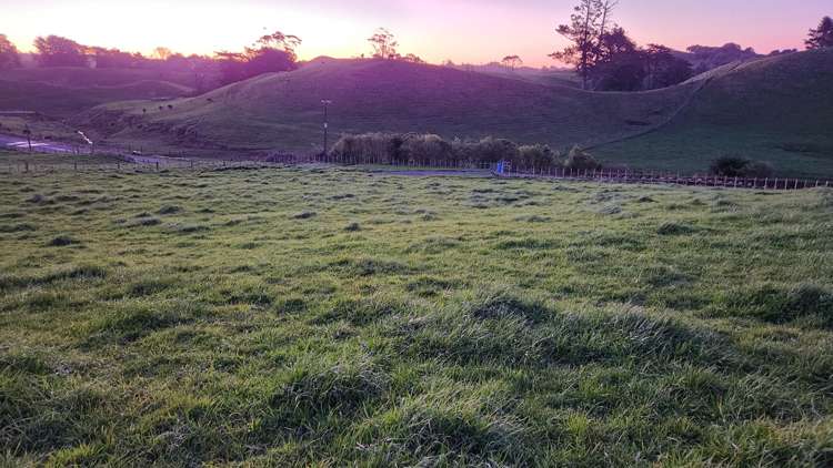 436 Lincoln Road Everett Park_14