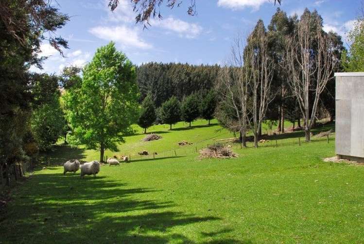 15 Friends Hill Road Mosgiel_19