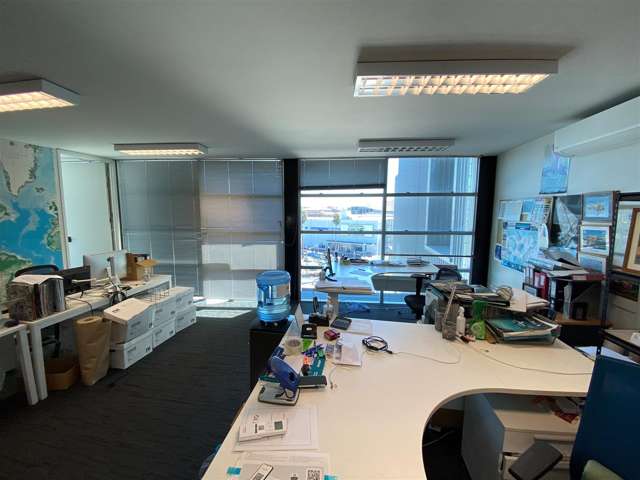 8 Augustus Terrace Parnell_1