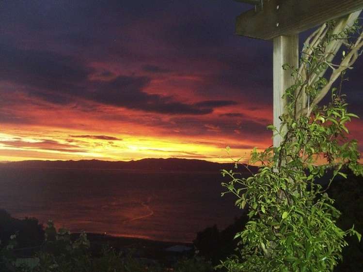 17 Eames Crescent Te Mata_28